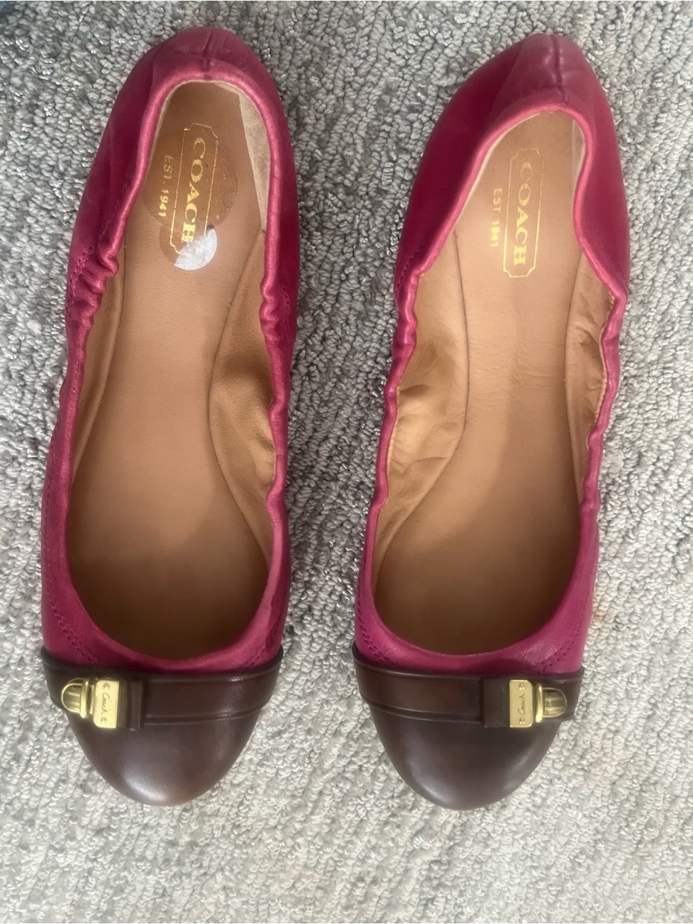 Coach Delphine Leather Ballet Flats | Like New | Y2K Balletcore Vibes